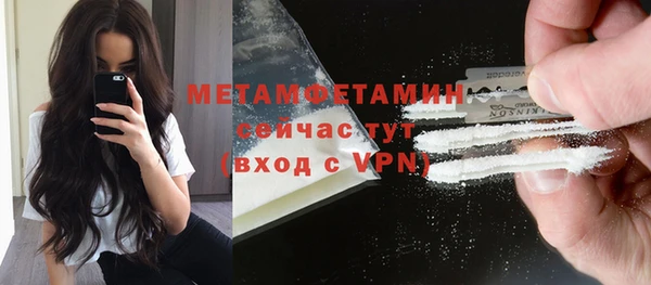 индика Балабаново