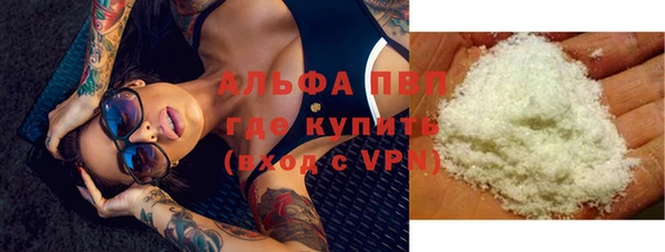индика Балабаново