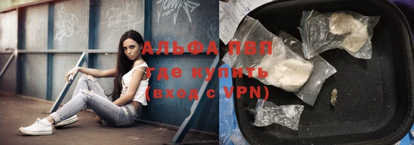 индика Балабаново