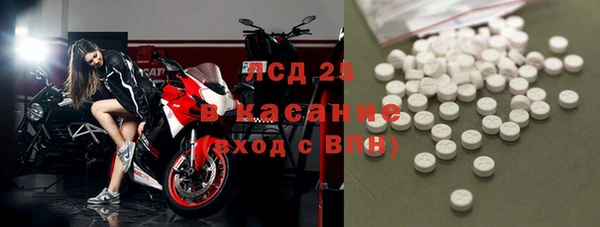 индика Балабаново