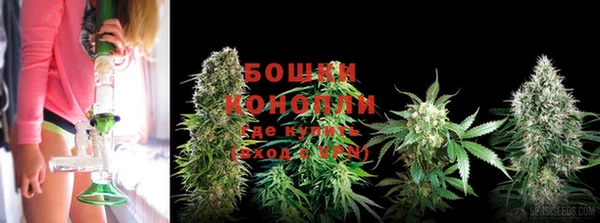 трава Балахна