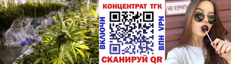 закладка  Нюрба  ТГК Wax 