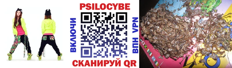 где продают   omg ссылка  Псилоцибиновые грибы MAGIC MUSHROOMS  Нюрба 